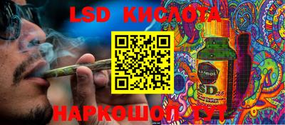 ПСИЛОЦИБИНОВЫЕ ГРИБЫ Кингисепп