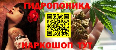 амф Кимры