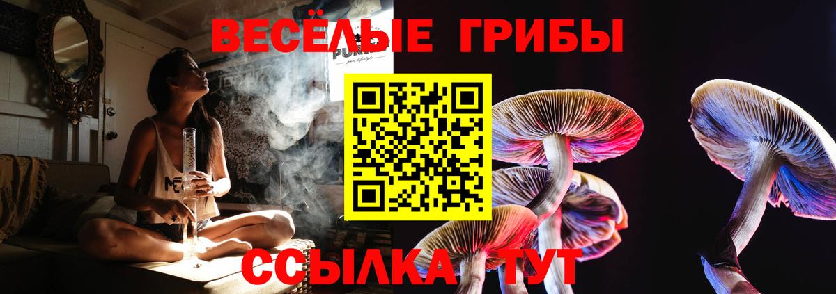 Псилоцибиновые грибы GOLDEN TEACHER  Вход с VPN  Шарыпово 